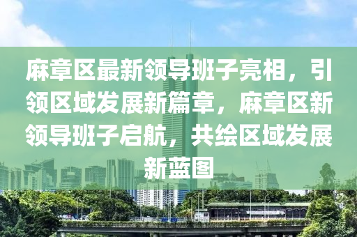 麻章区最新领导班子亮相，引领区域发展新篇章，麻章区新领导班子启航，共绘区域发展新蓝图