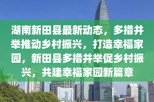 湖南新田县最新动态，多措并举推动乡村振兴，打造幸福家园，新田县多措并举促乡村振兴，共建幸福家园新篇章