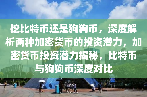 挖比特币还是狗狗币，深度解析两种加密货币的投资潜力，加密货币投资潜力揭秘，比特币与狗狗币深度对比