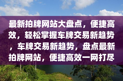 最新拍牌网站大盘点，便捷高效，轻松掌握车牌交易新趋势，车牌交易新趋势，盘点最新拍牌网站，便捷高效一网打尽