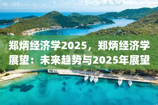 郑炳经济学2025，郑炳经济学展望：未来趋势与2025年展望