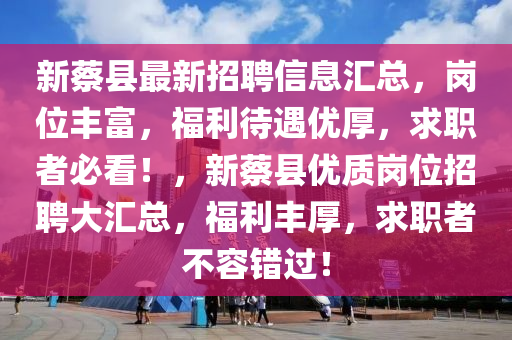 新蔡县最新招聘信息汇总，岗位丰富，福利待遇优厚，求职者必看！，新蔡县优质岗位招聘大汇总，福利丰厚，求职者不容错过！