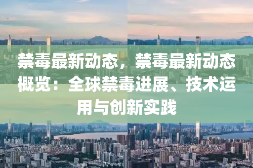 禁毒最新动态，禁毒最新动态概览：全球禁毒进展、技术运用与创新实践