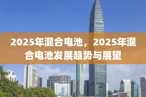 2025年混合电池，2025年混合电池发展趋势与展望