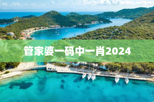 管家婆一码中一肖2024