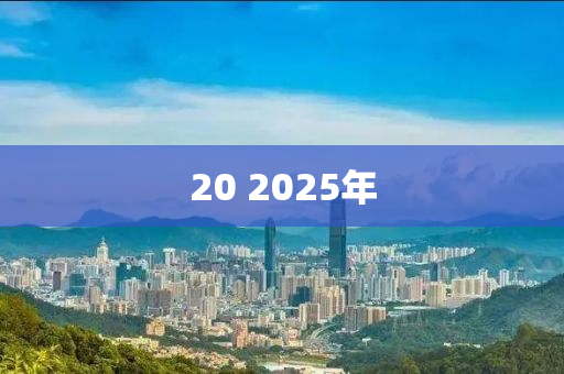 20 2025年