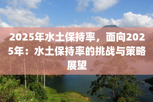 2025年水土保持率，面向2025年：水土保持率的挑战与策略展望