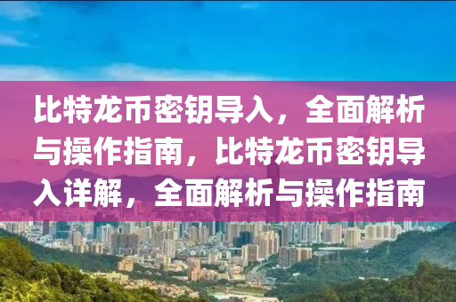 比特龙币密钥导入，全面解析与操作指南，比特龙币密钥导入详解，全面解析与操作指南