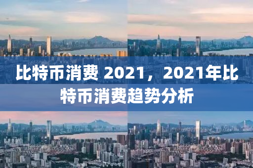 比特币消费 2021，2021年比特币消费趋势分析