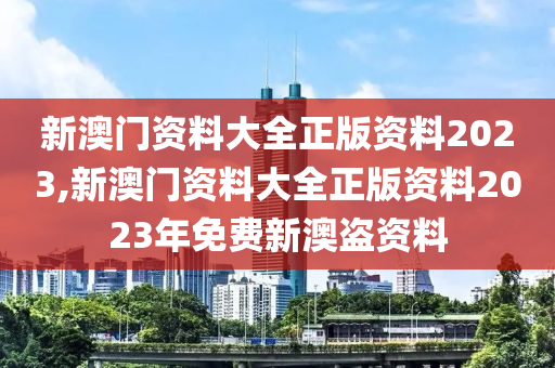 新澳门资料大全正版资料2023