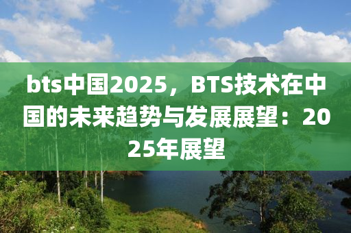 bts中国2025，BTS技术在中国的未来趋势与发展展望：2025年展望