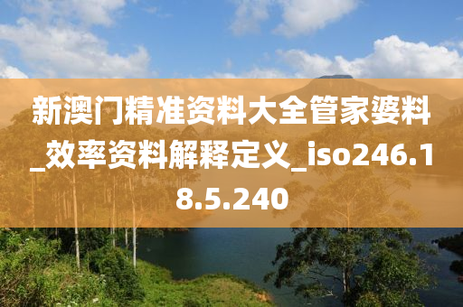 新澳门精准资料大全管家婆料_效率资料解释定义_iso246.18.5.240