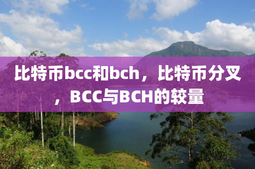 比特币bcc和bch，比特币分叉，BCC与BCH的较量