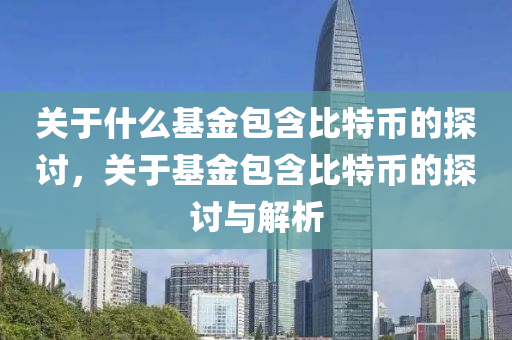 关于什么基金包含比特币的探讨，关于基金包含比特币的探讨与解析