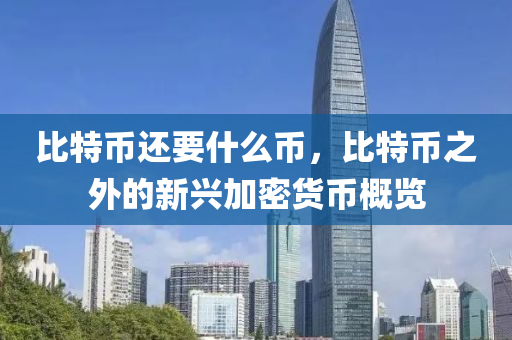 比特币还要什么币，比特币之外的新兴加密货币概览