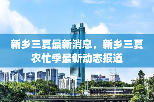 新乡三夏最新消息，新乡三夏农忙季最新动态报道