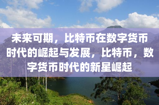 未来可期，比特币在数字货币时代的崛起与发展，比特币，数字货币时代的新星崛起