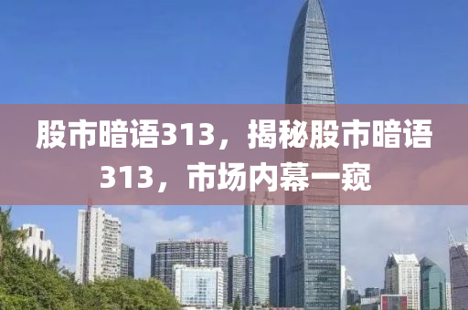 股市暗语313，揭秘股市暗语313，市场内幕一窥