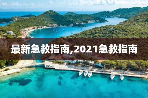 最新急救指南,2021急救指南