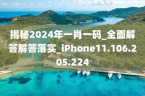 揭秘2024年一肖一码_全面解答解答落实_iPhone11.106.205.224