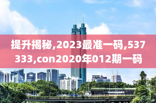 提升揭秘,2023最准一码,537333,con2020年012期一码