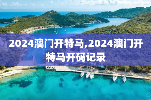 2024澳门开特马