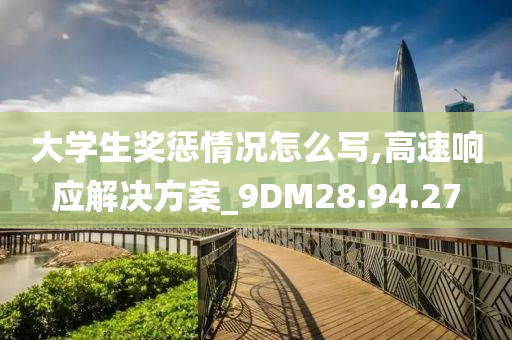 大学生奖惩情况怎么写,高速响应解决方案_9DM28.94.27