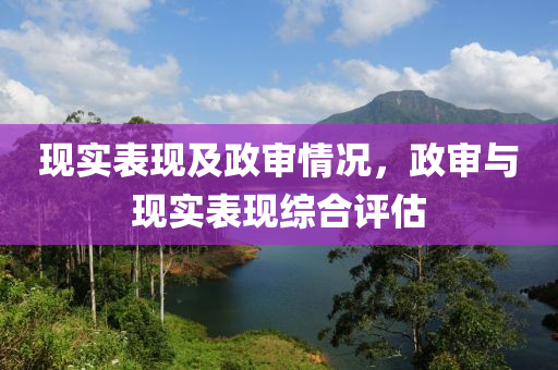 现实表现及政审情况，政审与现实表现综合评估