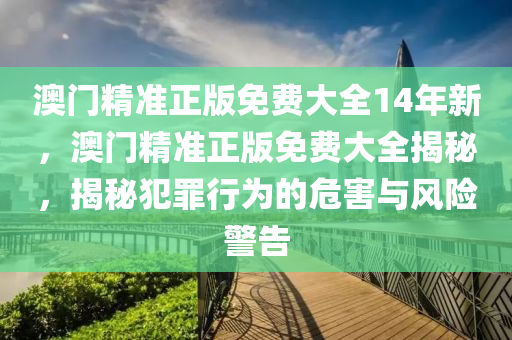 澳门精准正版免费大全14年新，澳门精准正版免费大全揭秘，揭秘犯罪行为的危害与风险警告