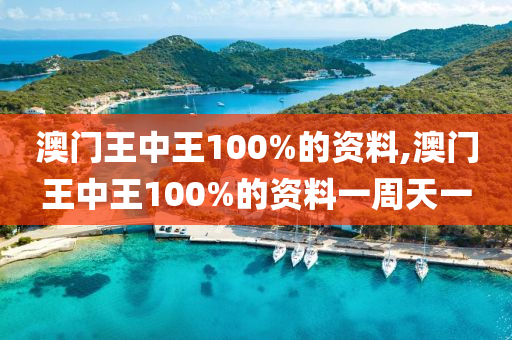 澳门王中王100%的资料