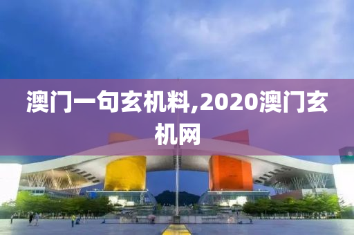 澳门一句玄机料,2020澳门玄机网