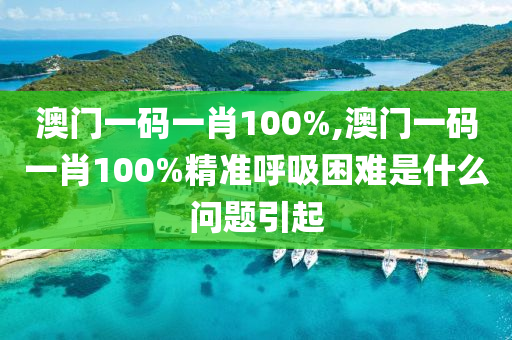 澳门一码一肖100%