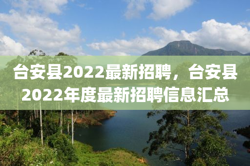 台安县2022最新招聘，台安县2022年度最新招聘信息汇总