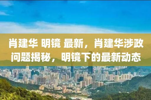 肖建华 明镜 最新，肖建华涉政问题揭秘，明镜下的最新动态