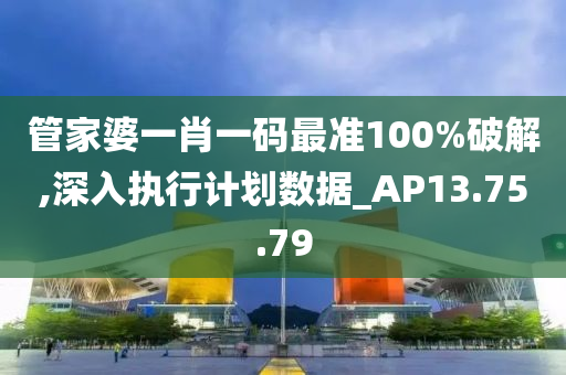 管家婆一肖一码最准100%破解,深入执行计划数据_AP13.75.79