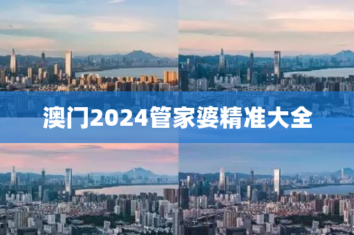 澳门2024管家婆精准大全