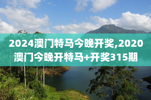 2024澳门特马今晚开奖,2020澳门今晚开特马+开奖315期