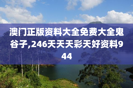 澳门正版资料大全免费大全鬼谷子,246天天天彩天好资料944