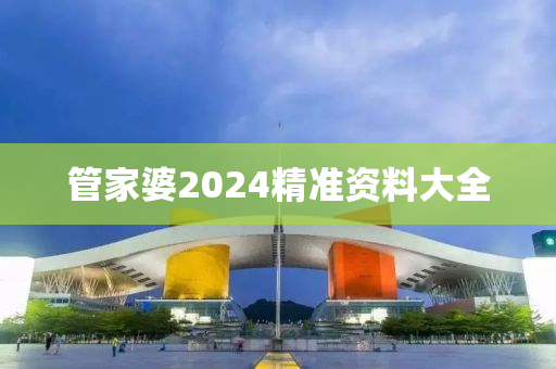 管家婆2024精准资料大全