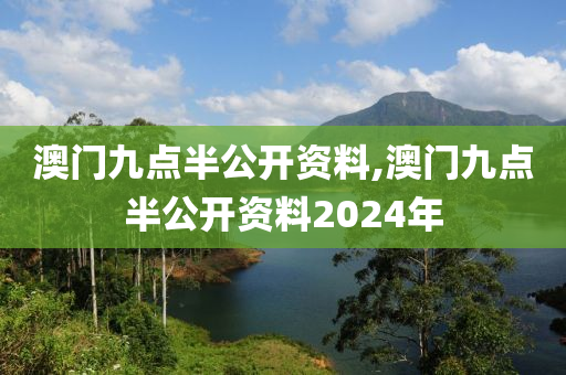 澳门九点半公开资料,澳门九点半公开资料2024年