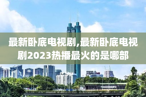 最新卧底电视剧,最新卧底电视剧2023热播最火的是哪部