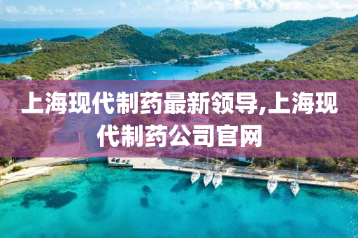 上海现代制药最新领导,上海现代制药公司官网