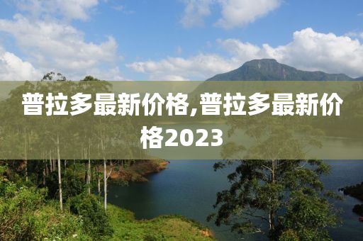 普拉多最新价格,普拉多最新价格2023