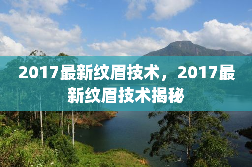 2017最新纹眉技术