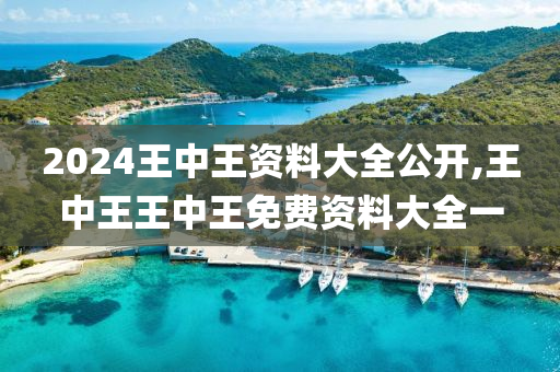 2024王中王资料大全公开