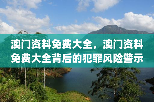 澳门资料免费大全，澳门资料免费大全背后的犯罪风险警示