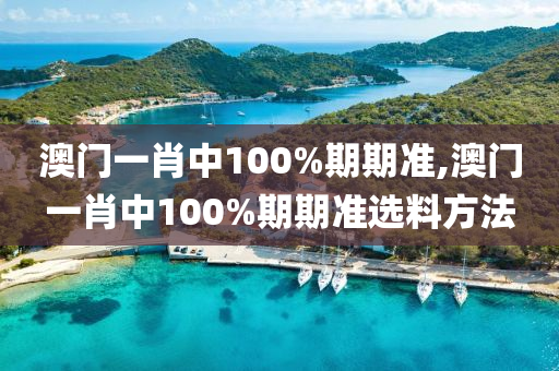 澳门一肖中100%期期准,澳门一肖中100%期期准选料方法