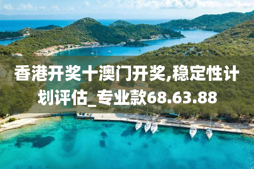 香港开奖十澳门开奖,稳定性计划评估_专业款68.63.88