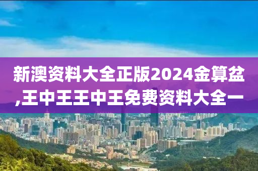 新澳资料大全正版2024金算盆