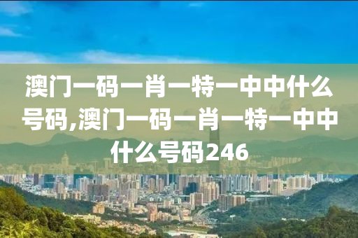 澳门一码一肖一特一中中什么号码,澳门一码一肖一特一中中什么号码246